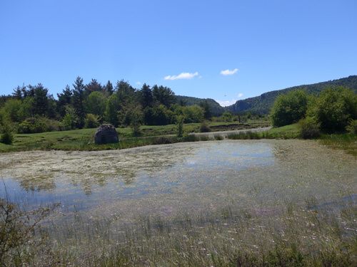 GR 15.2 - ALDAERA. GR 15.2 